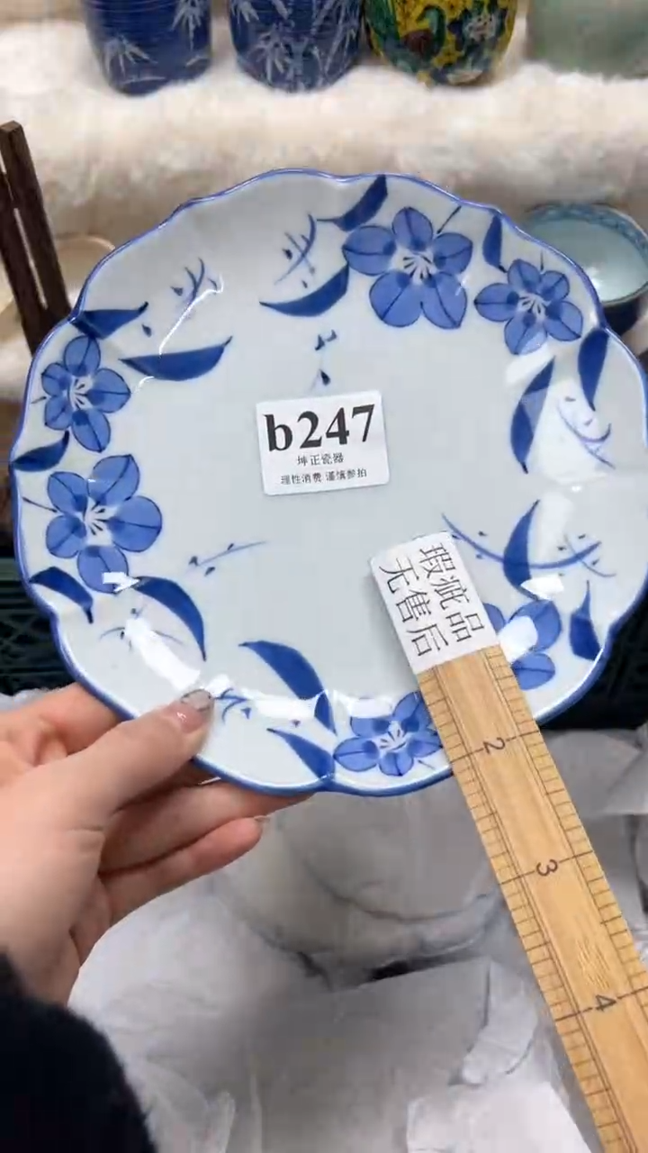 【闪购商品】瓷片          b247