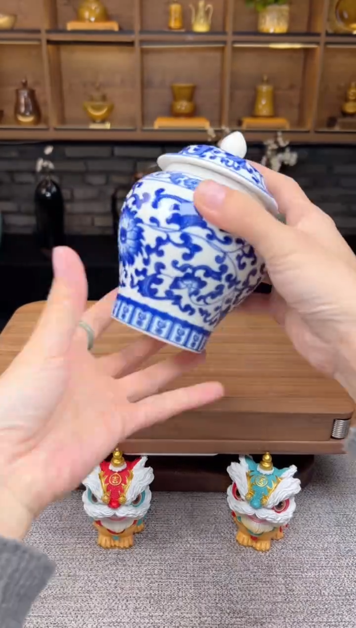 【闪购商品】无尽藏 专属福利单 VVV 