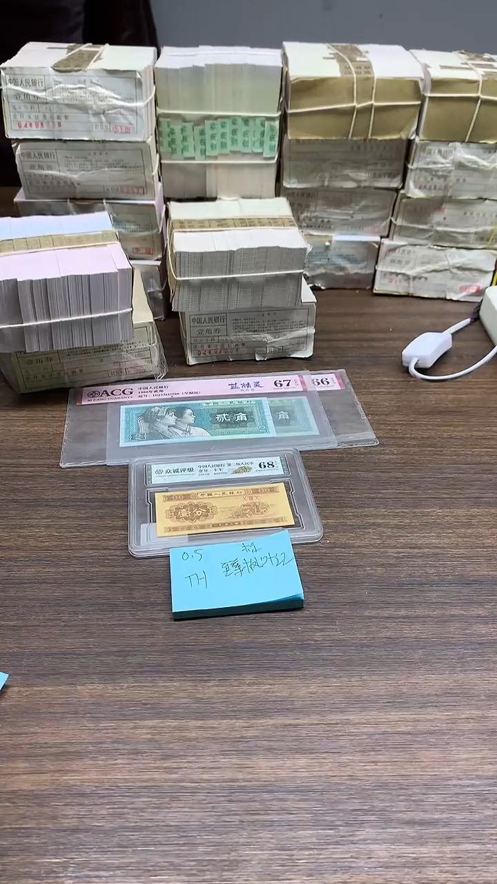 TH 枫叶红   0.5标十标十标十标十