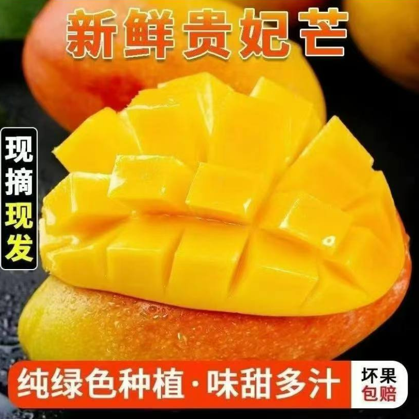 【放软吃】海南贵妃芒果新鲜现摘净重5/9斤