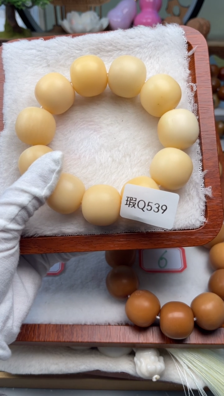 【闪购商品】菩提根/象牙果手串瑕Q539桶珠24mm随机1串