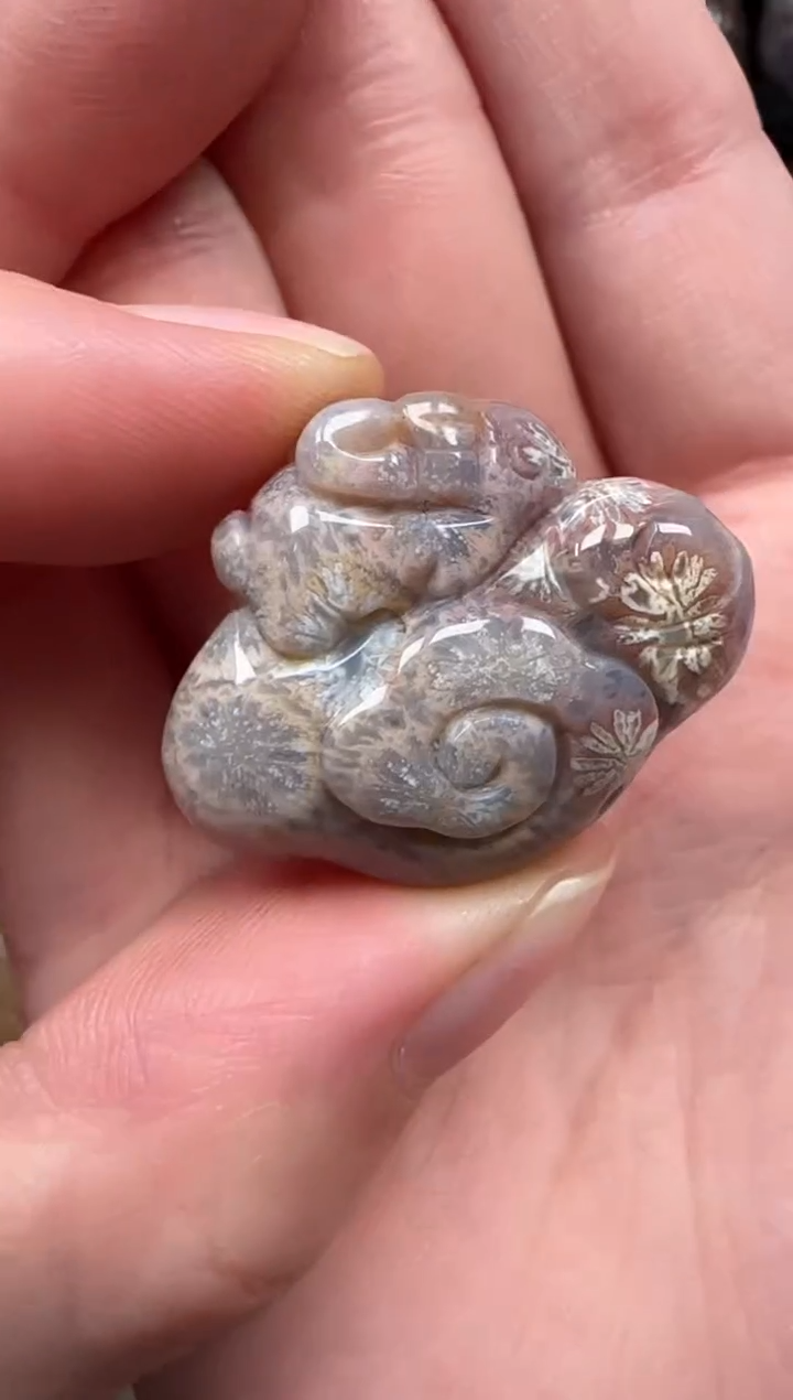 颈饰未镶嵌硅化珊瑚（珊瑚玉）663