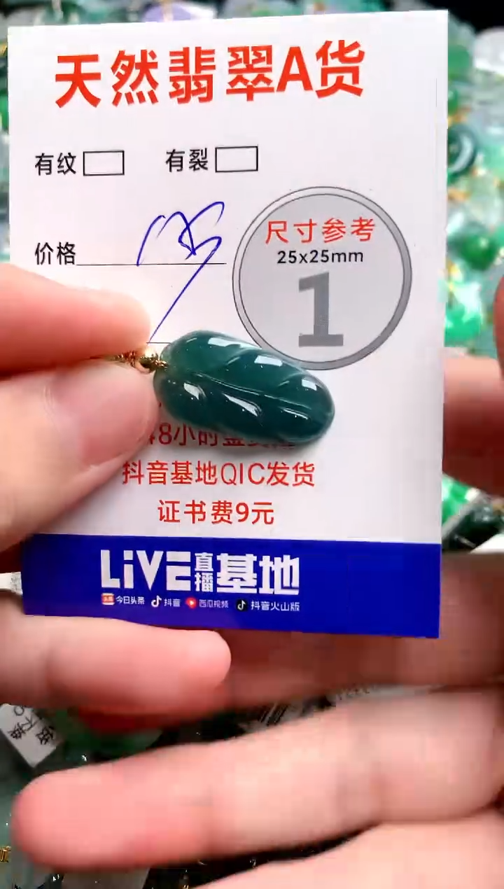 翡翠未镶嵌颈饰13003054