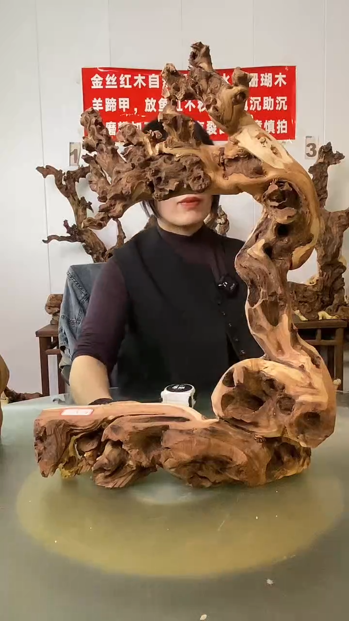 木亿**石金丝红木  羊蹄甲