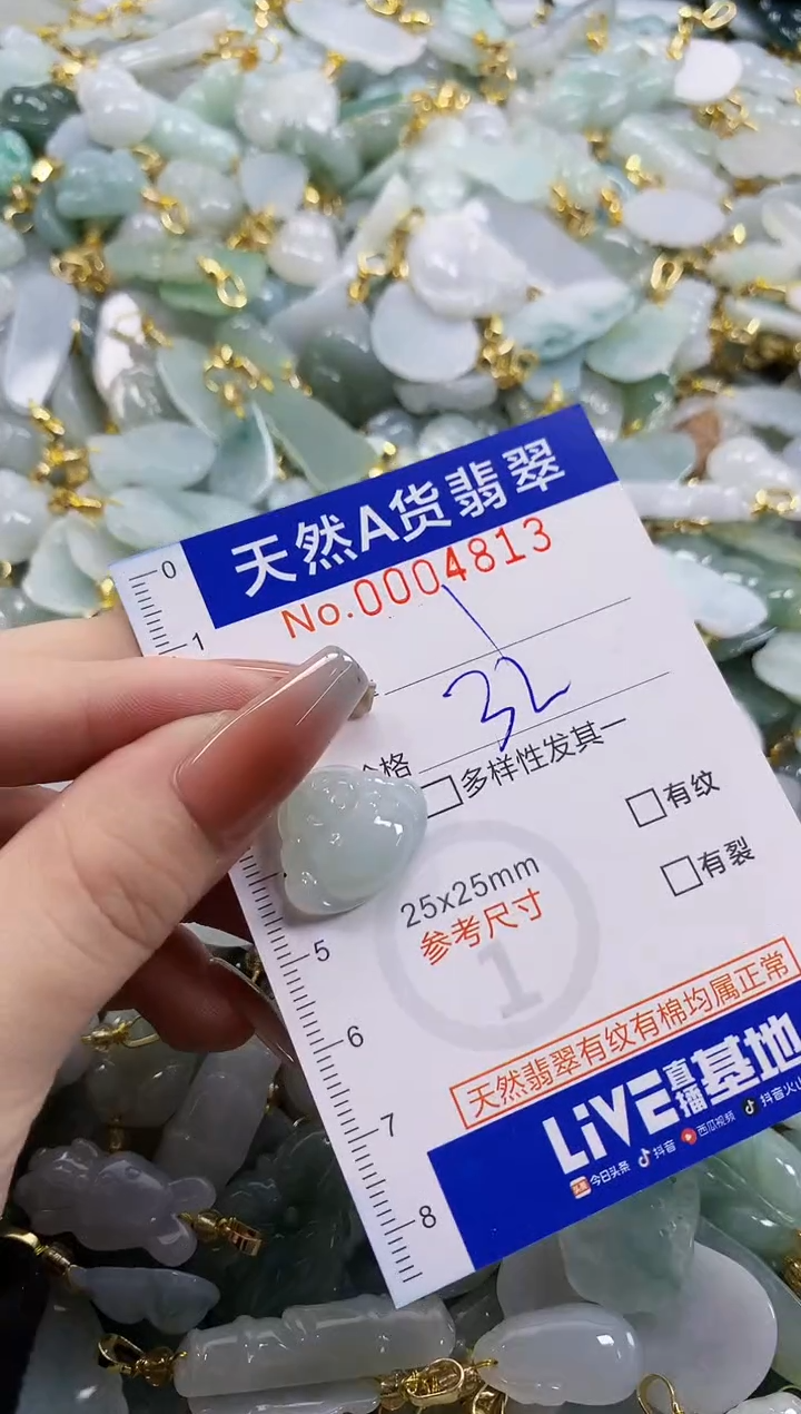 颈饰未镶嵌翡翠天然A货翡翠