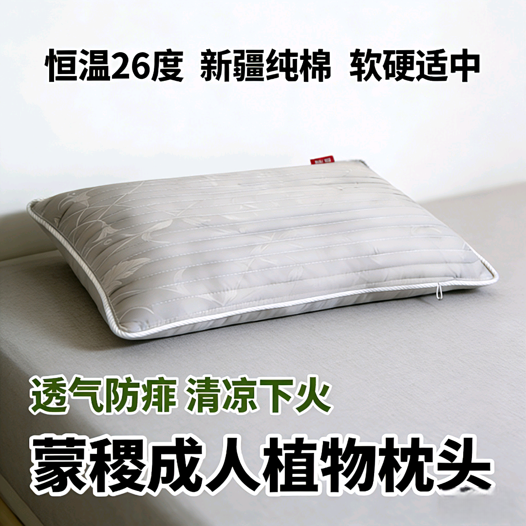 蒙稷决明子软硬适中通用护颈荞麦枕枕头透气折叠环保学生枕