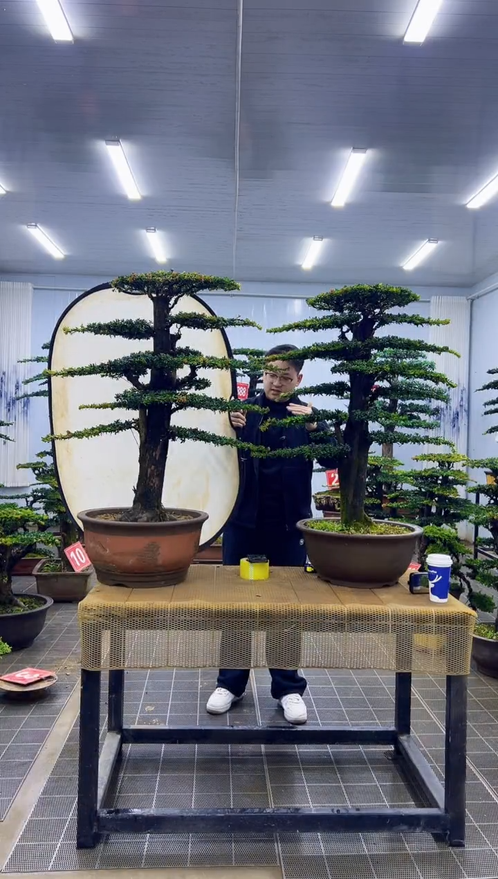 无花朵与****涯0000000000