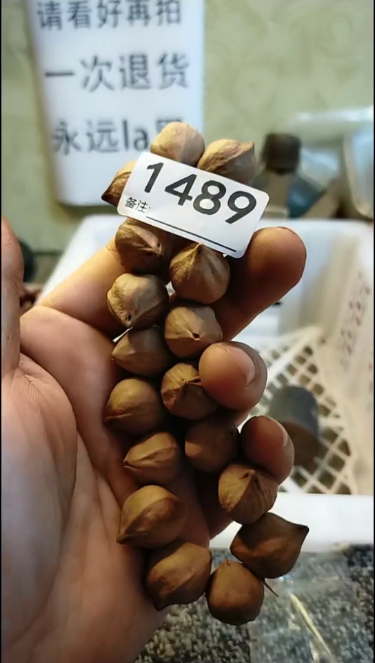 前**锦纪年坊杂项甄选专属链接