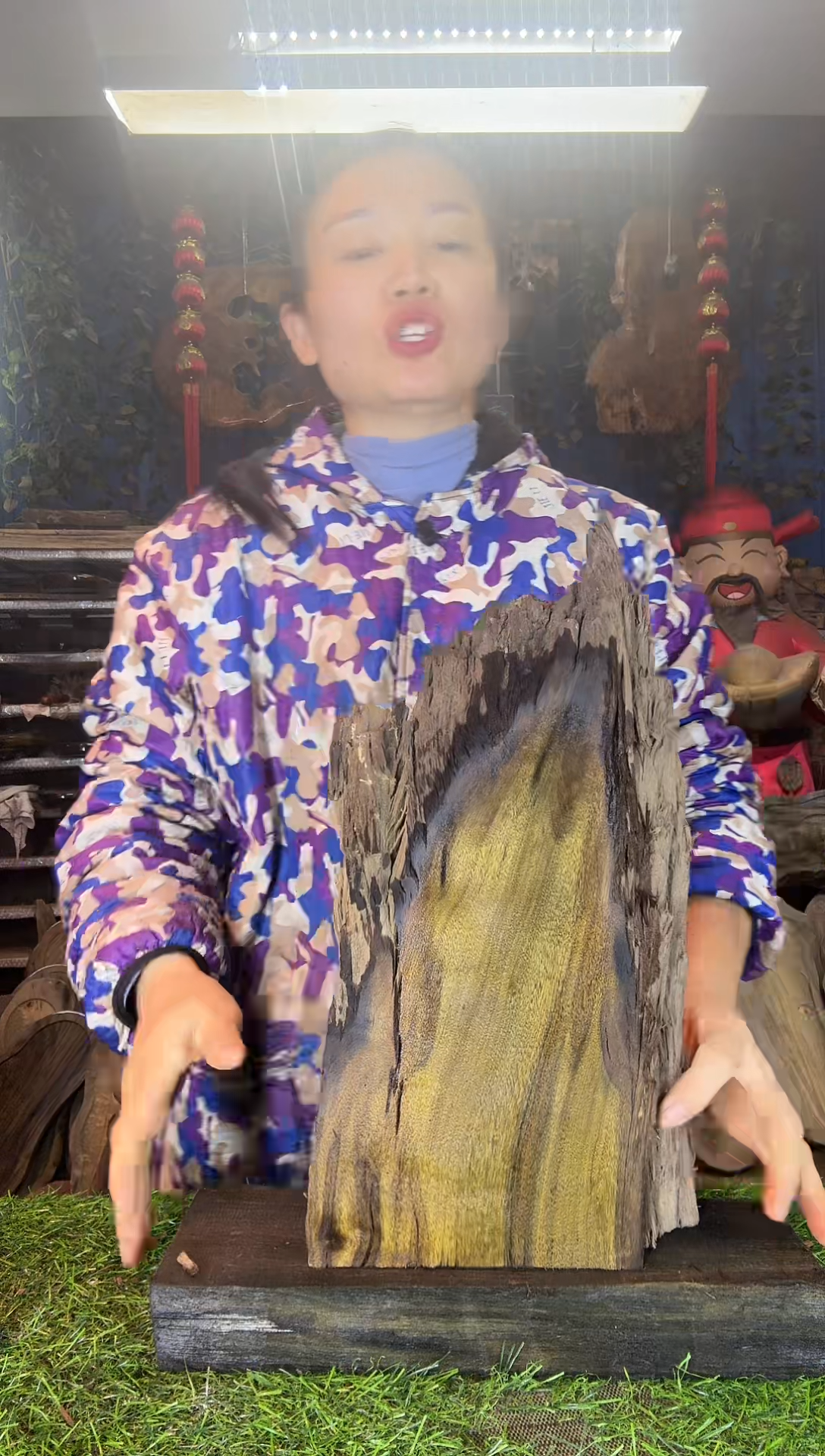 金丝楠小叶桢楠2