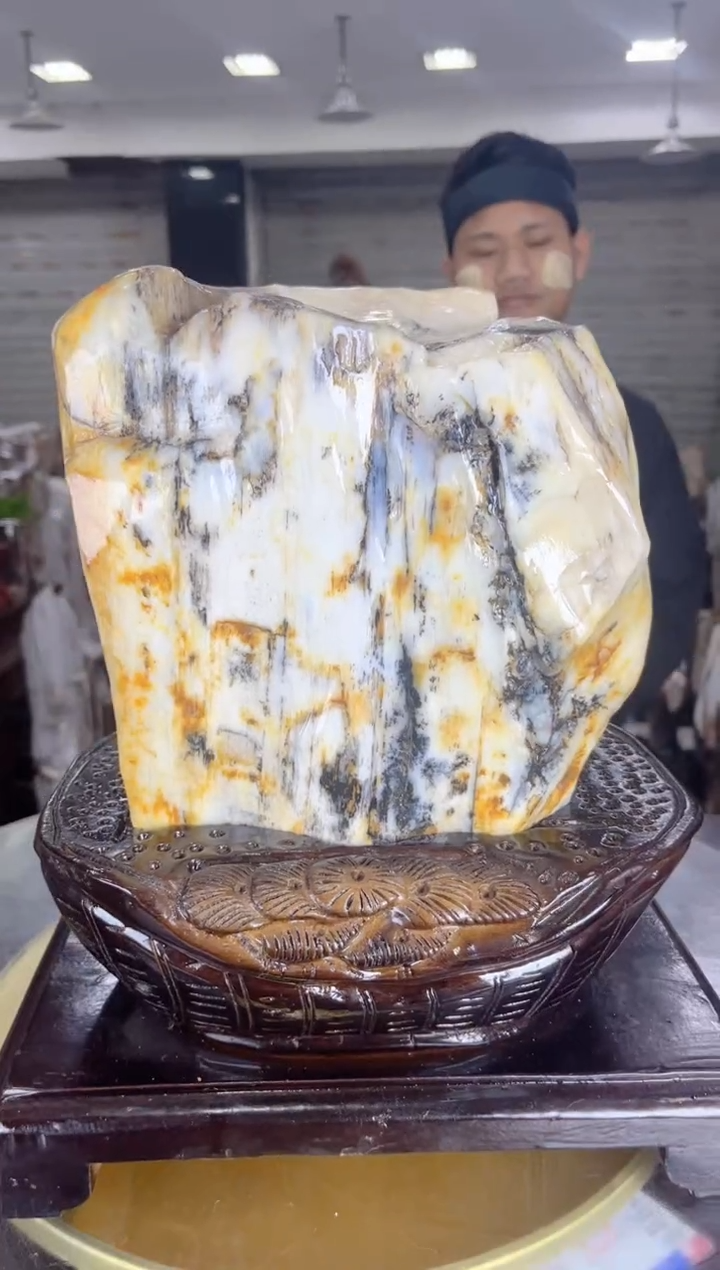 【闪购商品】硅化玉珠宝奇石未镶嵌缅甸天然树化玉