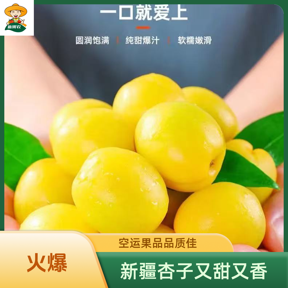 新疆空运小白杏新鲜饱满多汁香甜软糯产地直发当季水果