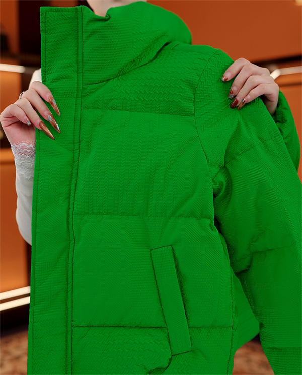 （甄选大朵鸭绒）2025专加厚保暖高级羽绒服气质舒适轻奢外套YR024