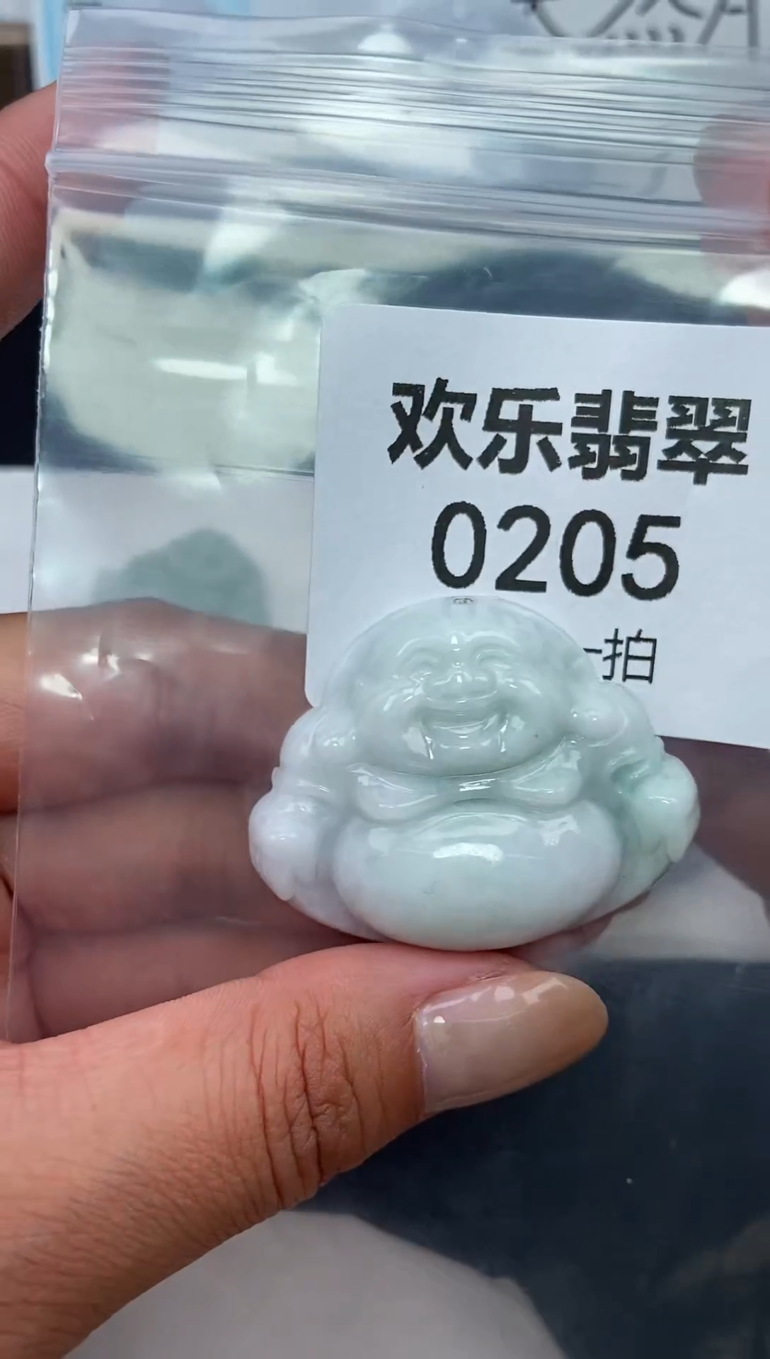 颈饰未镶嵌翡翠缅甸天然翡翠0205