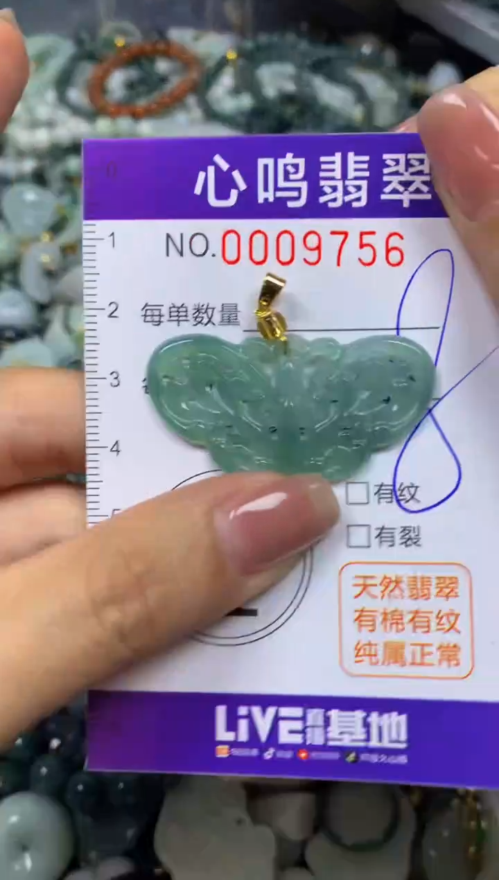 翡翠未镶嵌颈饰闪购009756