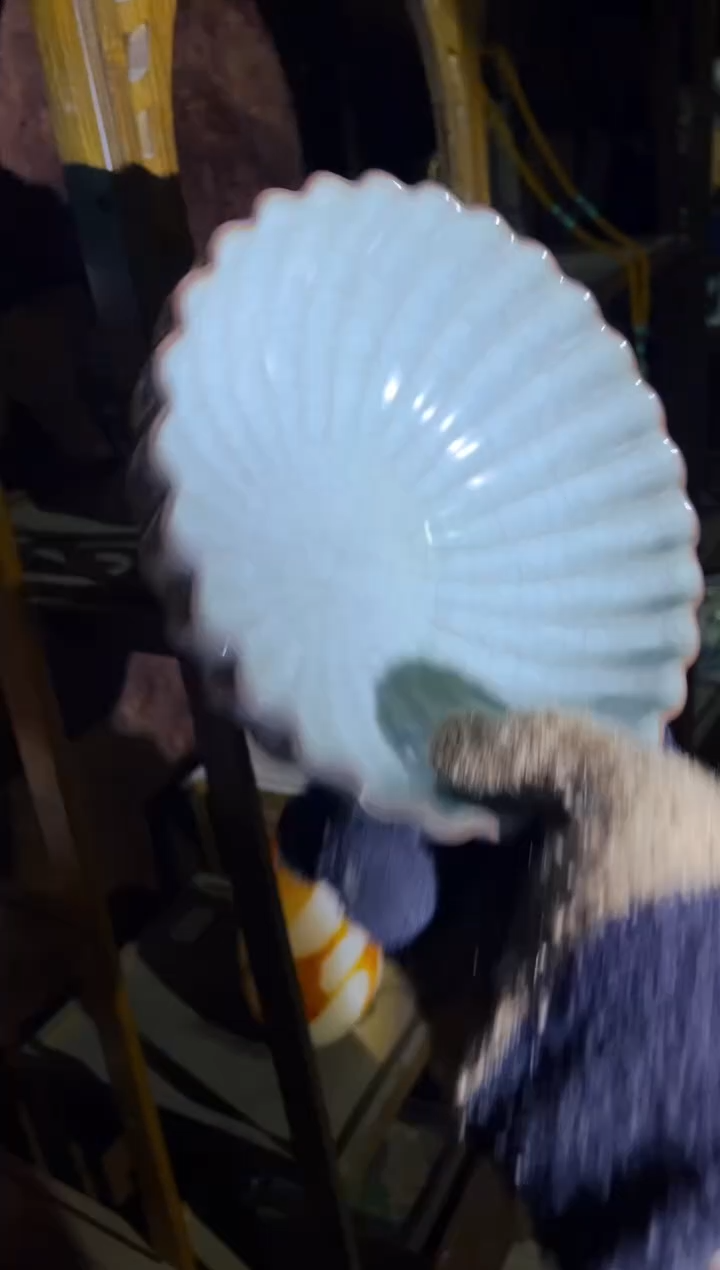 【闪购商品】瓷片九日优选精品链接4531