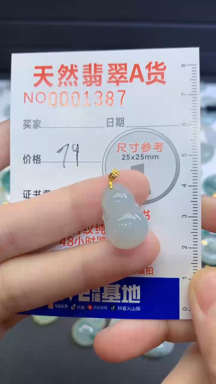 【闪购商品】翡翠颈饰未镶嵌翡翠