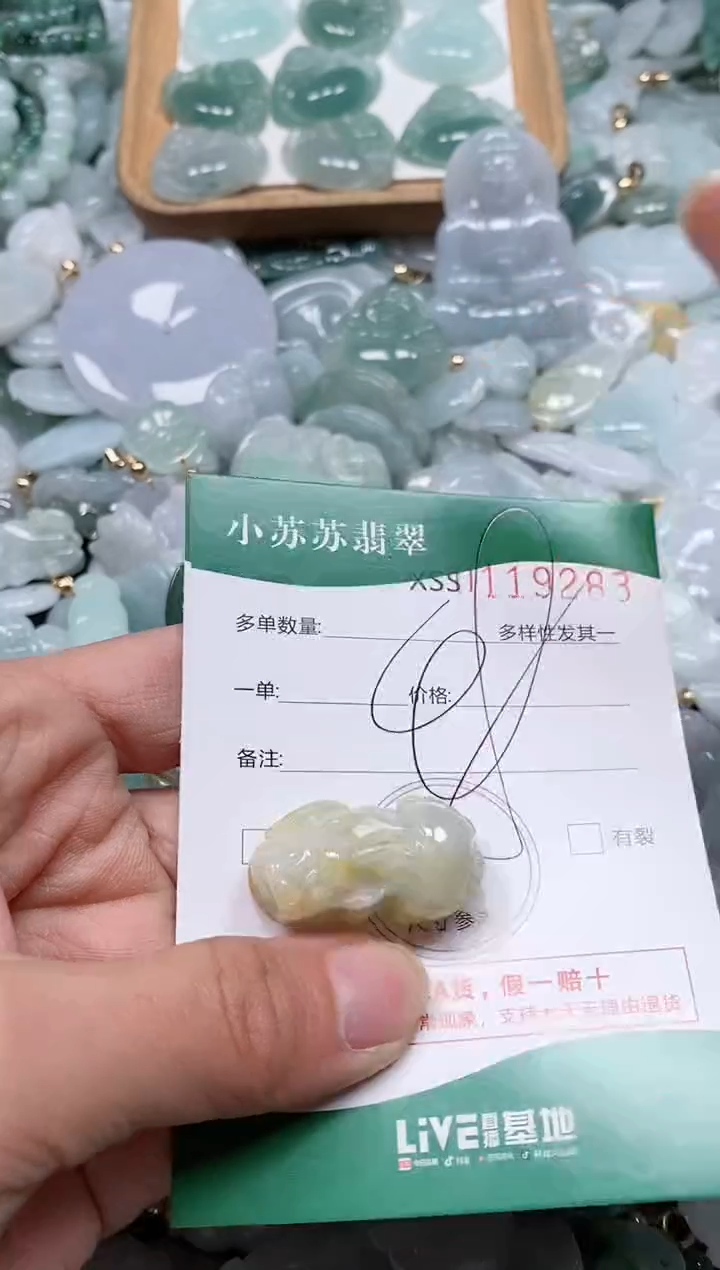 【闪购商品】翡翠颈饰未镶嵌闪购商品0119283