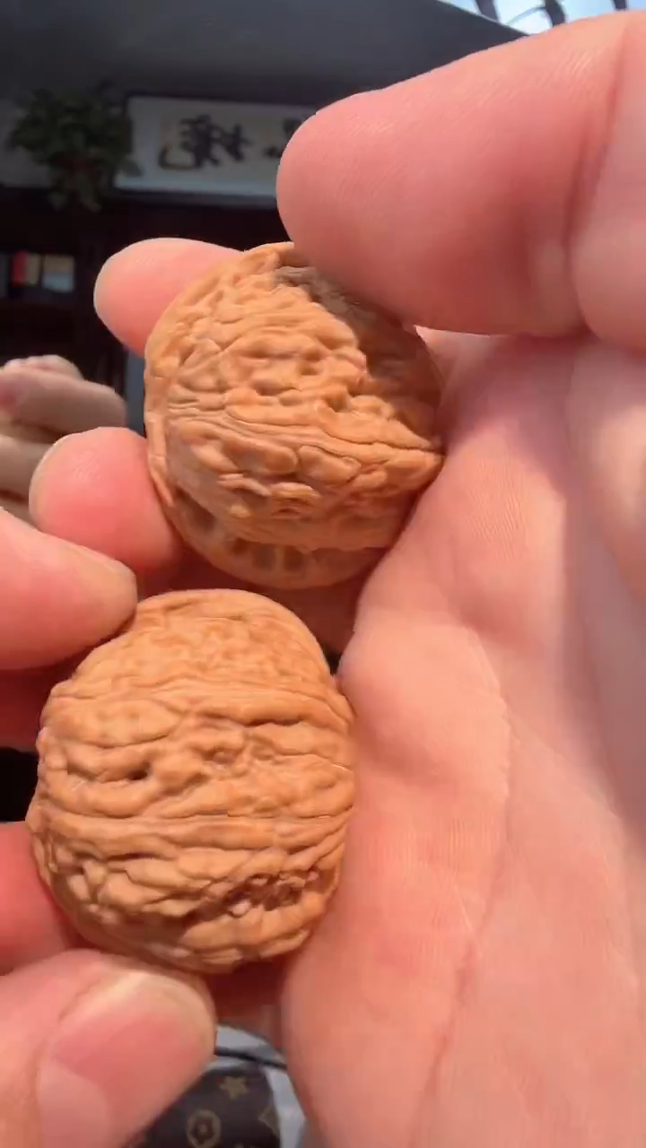 把件龙脊菩提002 闷尖狮子头39-40