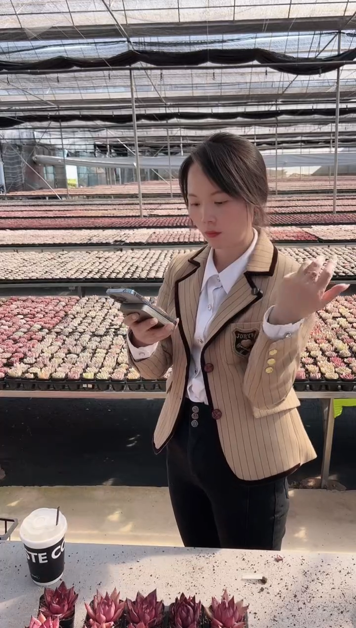 【闪购商品】福利款160（8棵其中一颗）