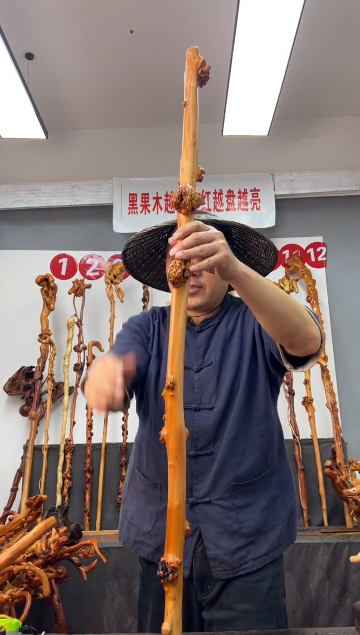 【闪购商品】黑果木其他黑果木262