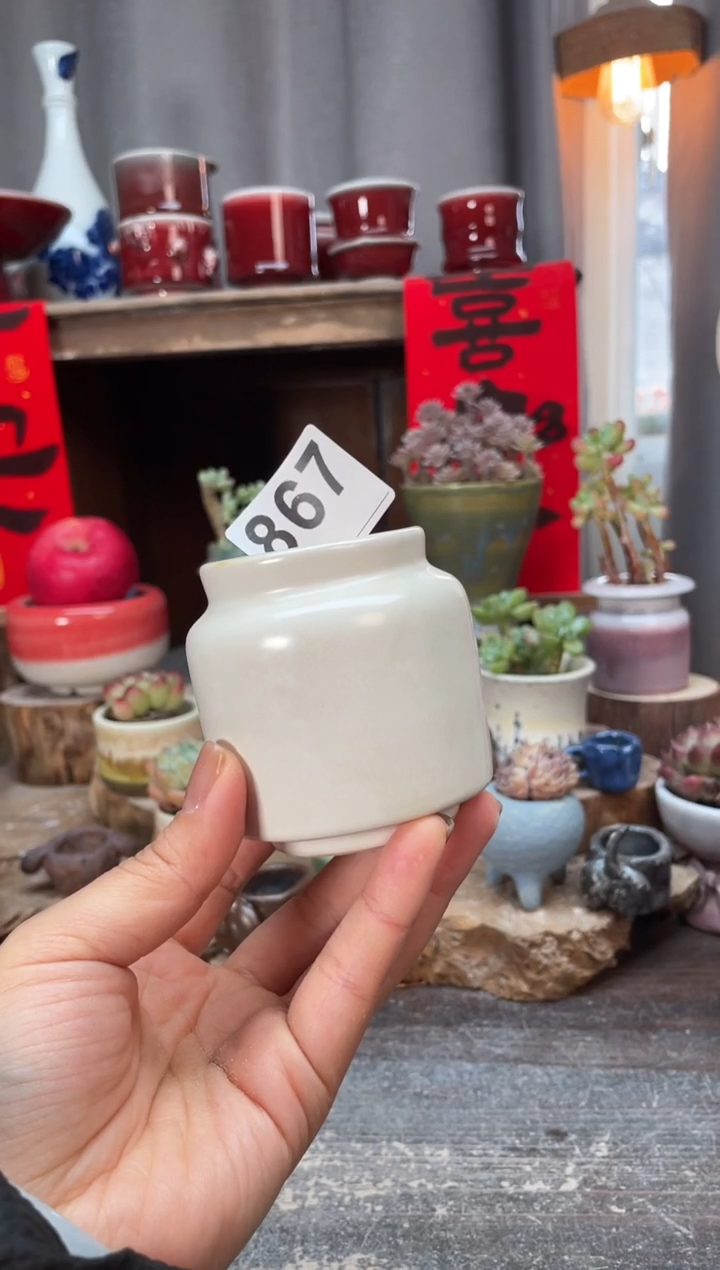 【闪购商品】摆件867知木小芳花盆