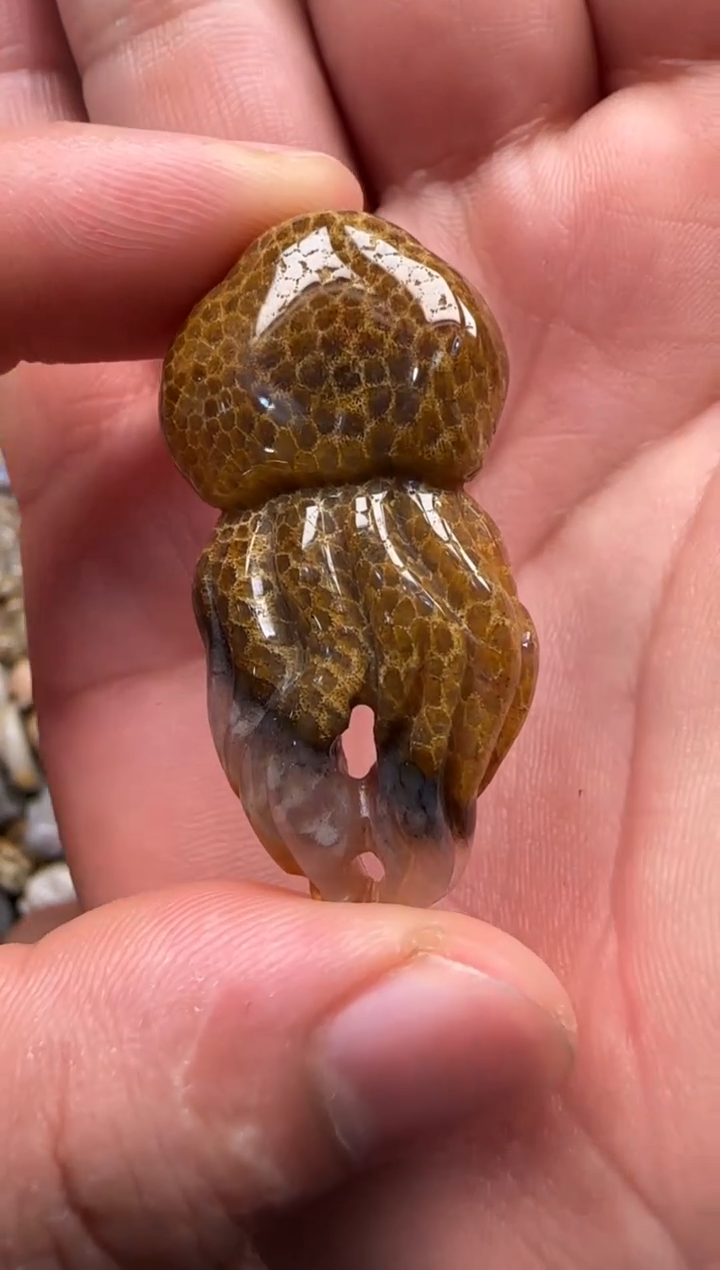 【闪购商品】硅化珊瑚（珊瑚玉）颈饰未镶嵌593