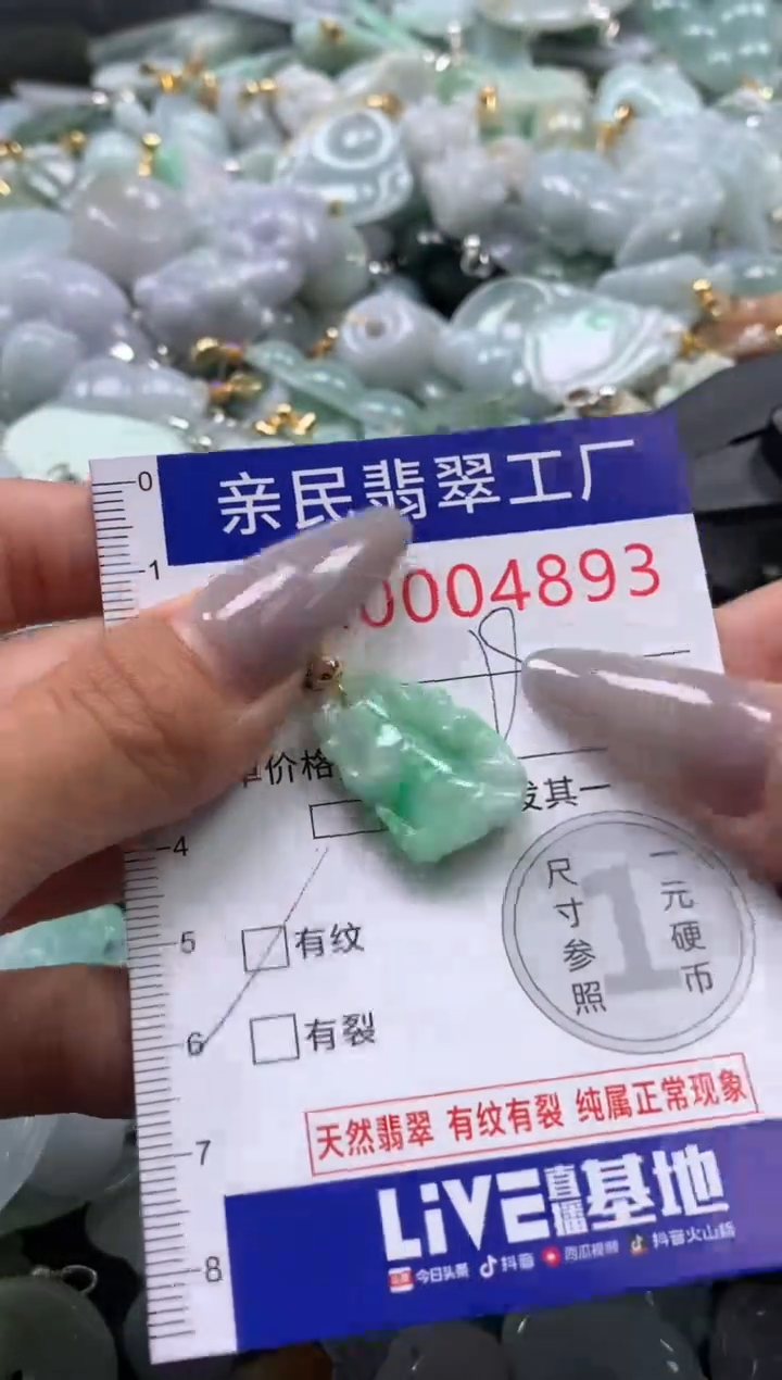 颈饰未镶嵌翡翠4893