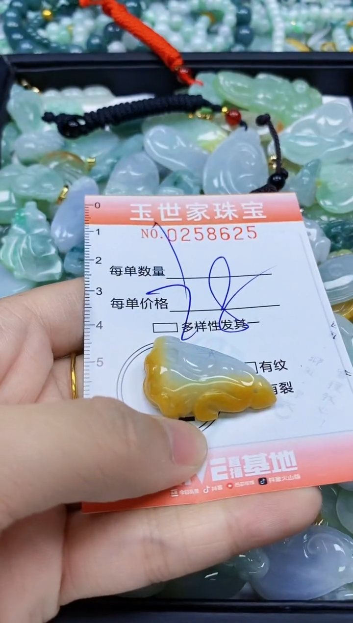 翡翠未镶嵌颈饰闪购0258625