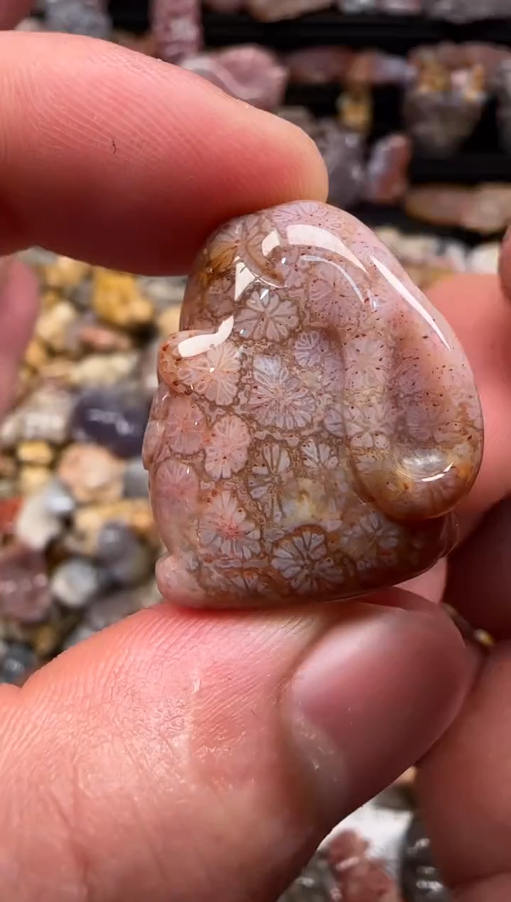 【闪购商品】硅化珊瑚（珊瑚玉）颈饰未镶嵌582