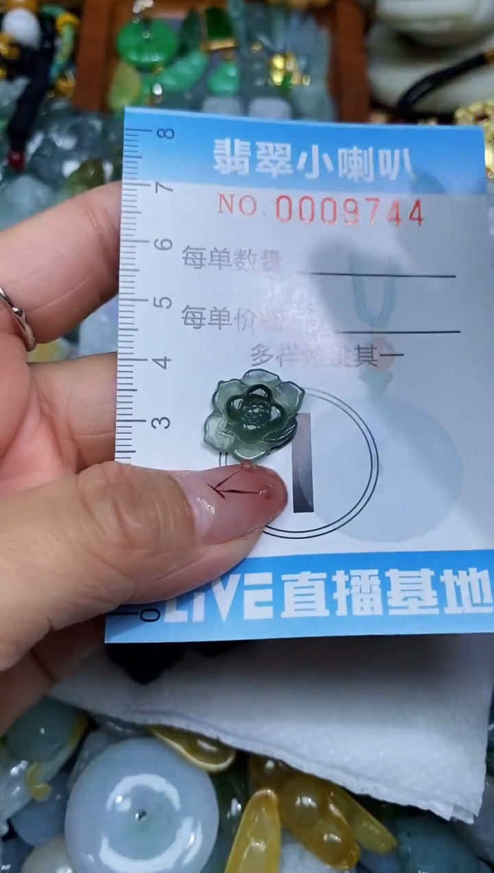 【闪购商品】翡翠颈饰未镶嵌闪购0009744