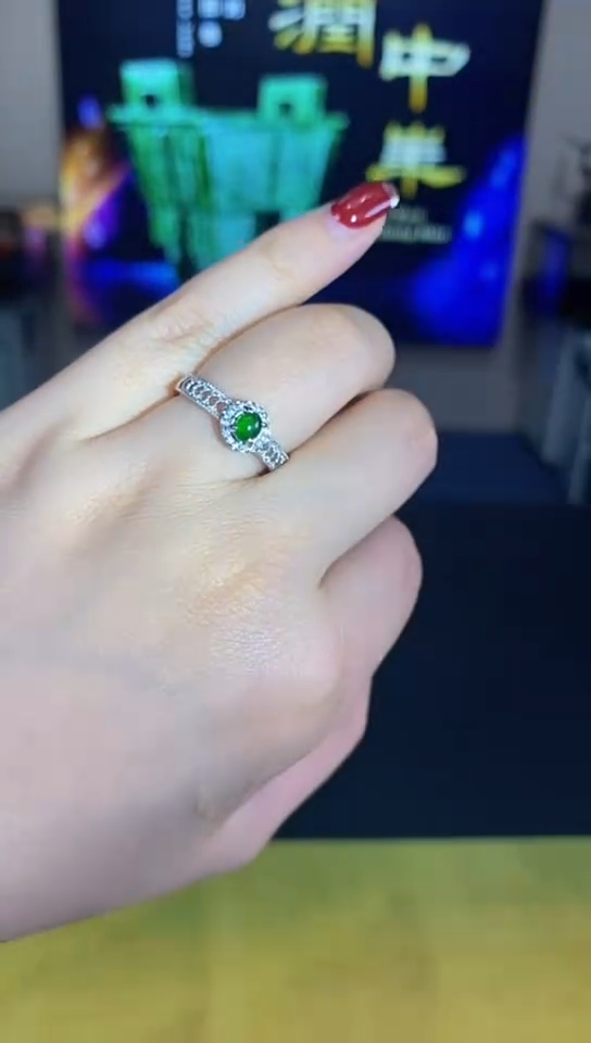 【闪购商品】翡翠颈饰未镶嵌00000031