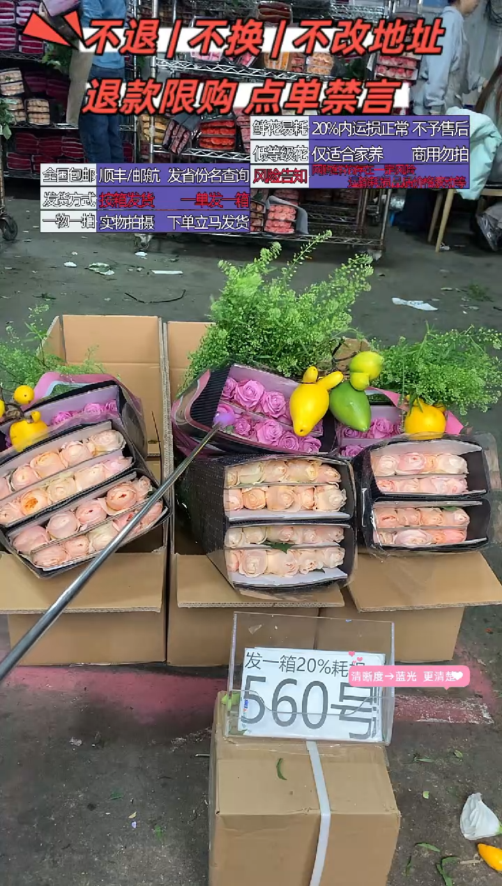 560号♥含20%耗损发一箱