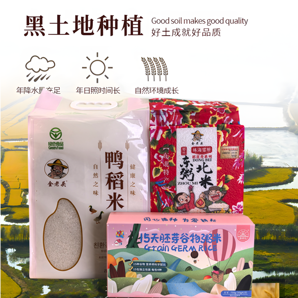 东北黑龙江海林市新安镇数字化小镇    龙稻18