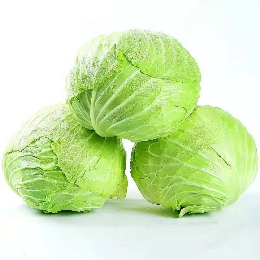 包菜（约1000g）