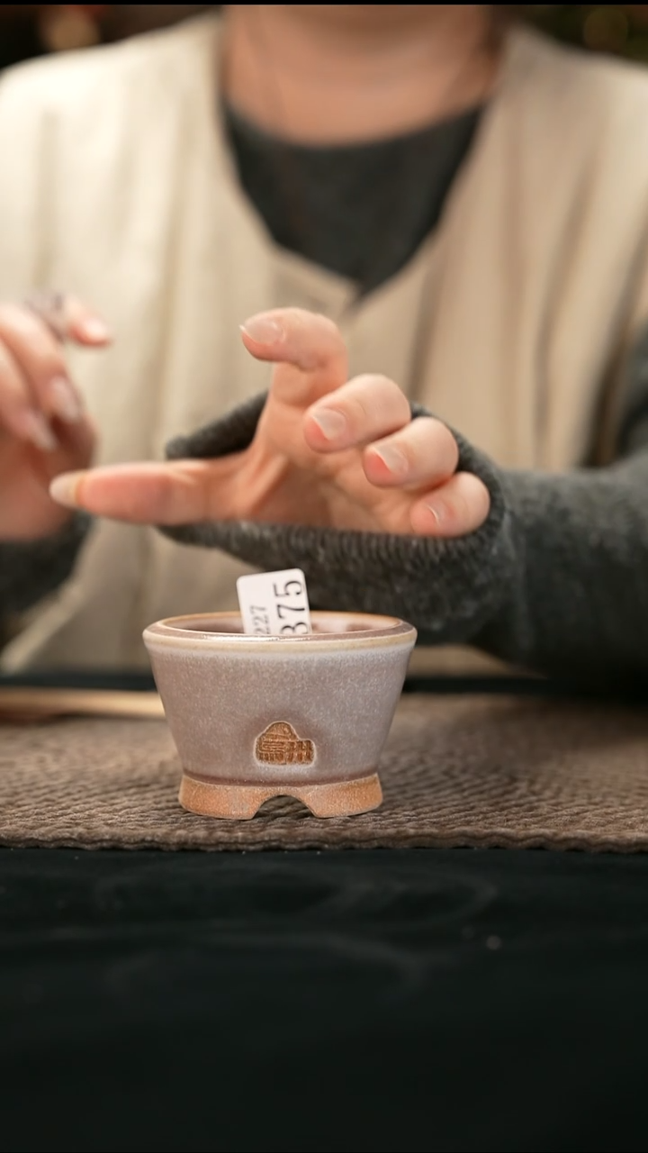 口径6.5花盆-12-27-375特默认有瑕