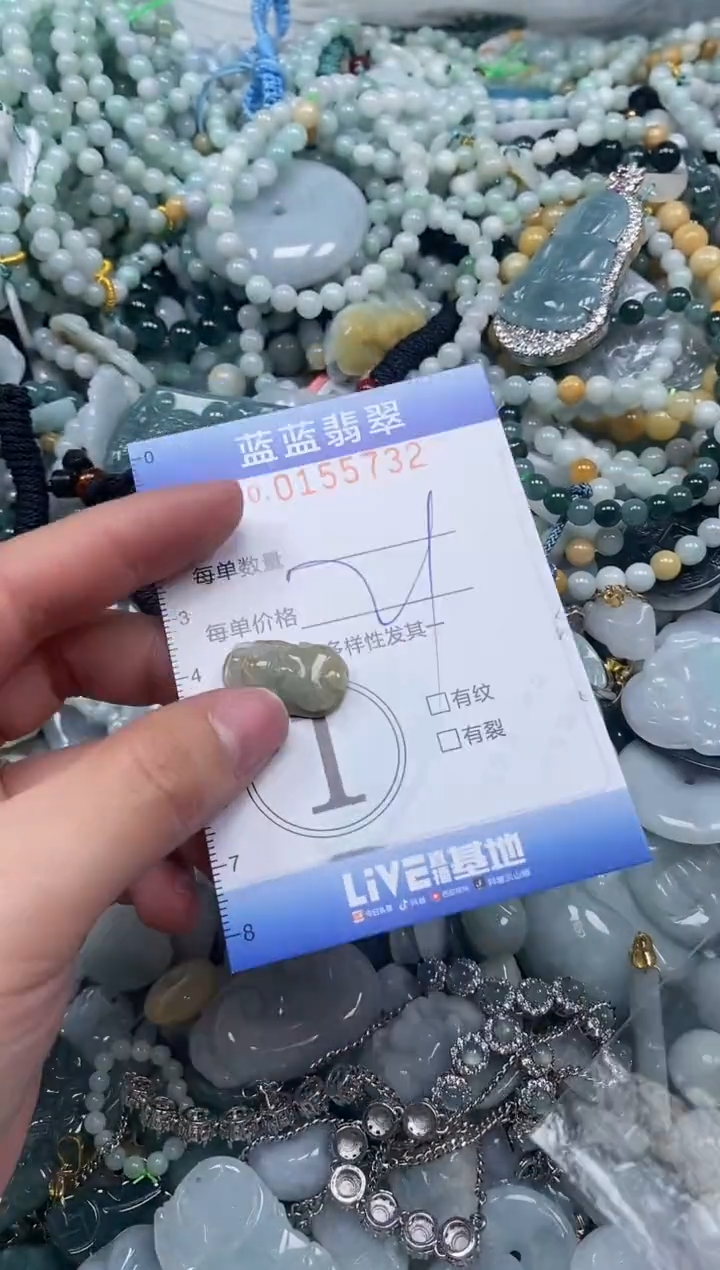 【闪购商品】翡翠颈饰未镶嵌闪购0155732