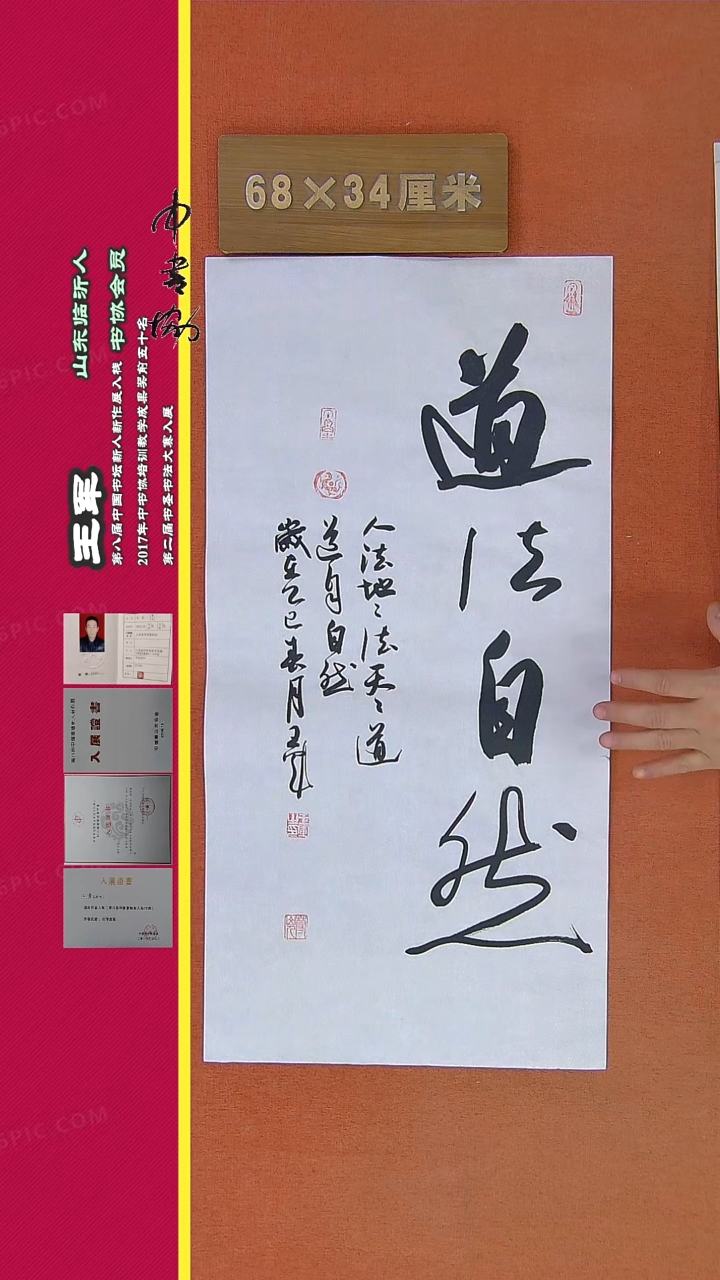 【闪购商品】书法261王军书法作品