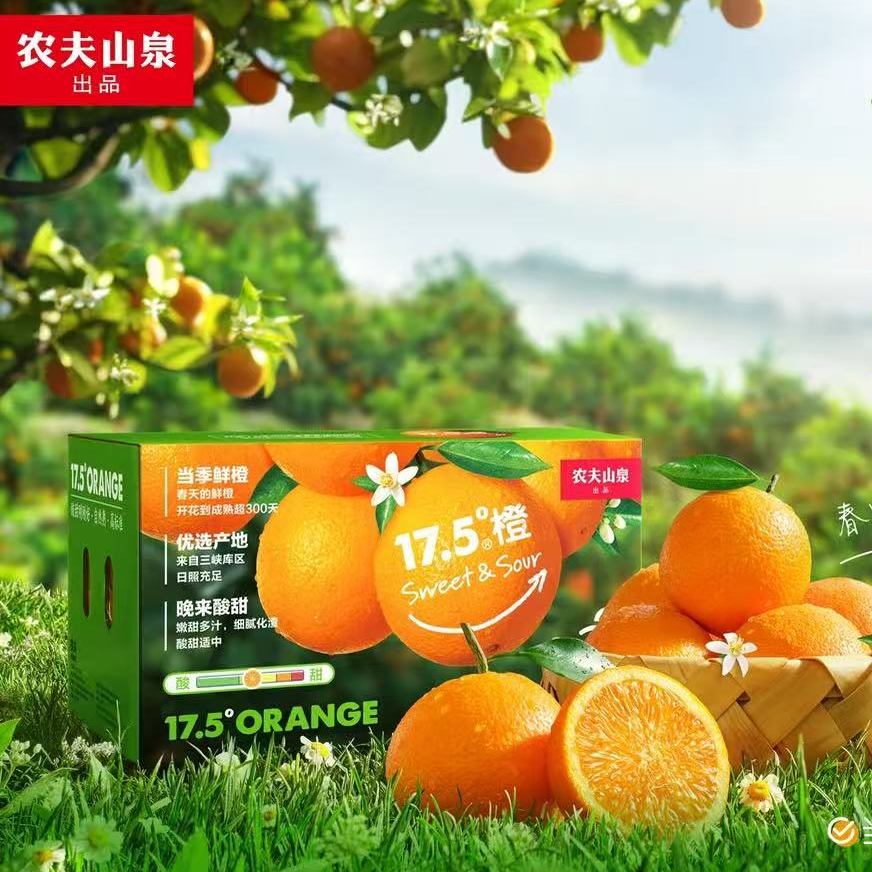 【达吾水果】农夫山泉17.5°铂金脐橙3kg/5kg