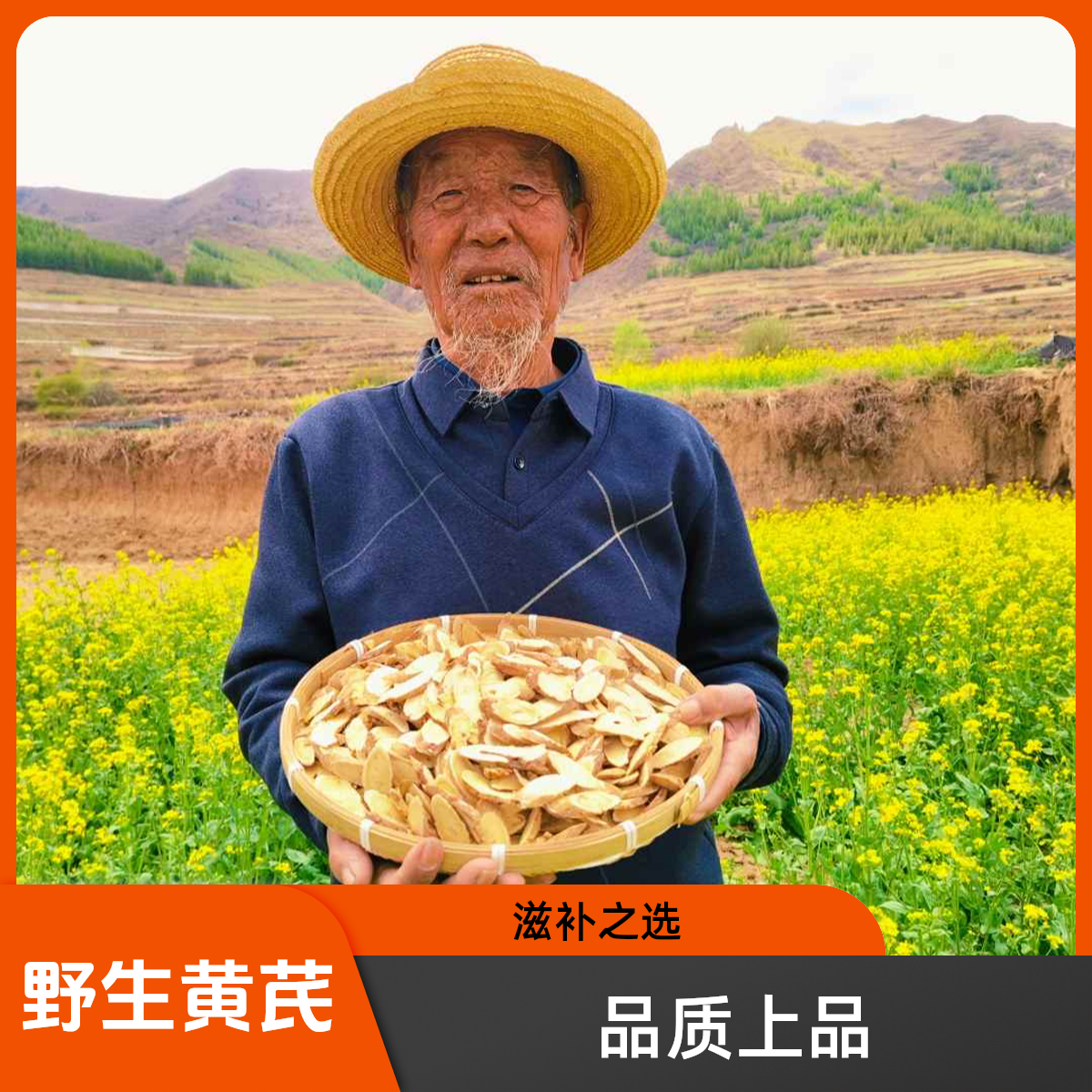 甘肃岷县正宗野生老黄芪特大片可泡水煮茶煲汤的滋补上品