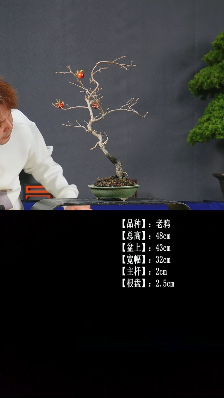 以实际为准B405 老鸦 不包邮
