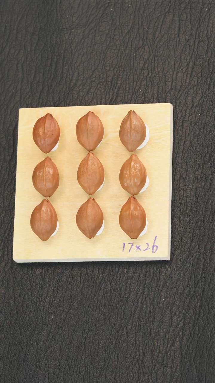 核桃手串/手链老树梅林老铁核1726精品款