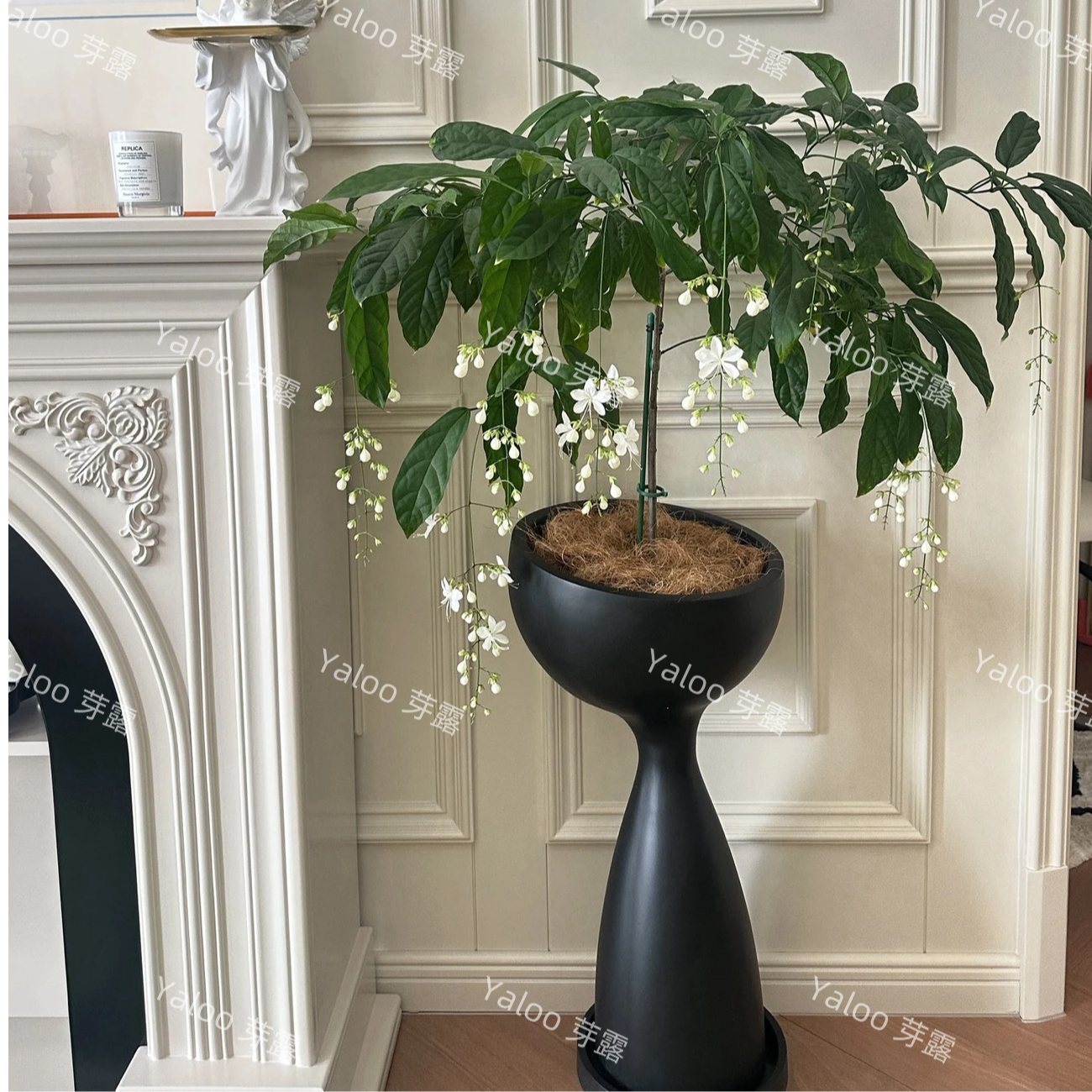 北欧简约手工小蛮腰室内客厅家用透气垂丝茉莉落地盆高脚镁泥花盆