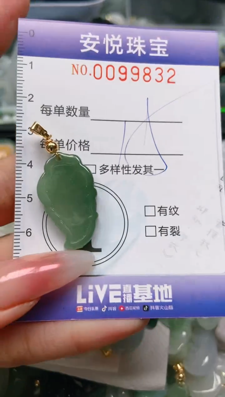 【闪购商品】翡翠颈饰未镶嵌闪购0099832