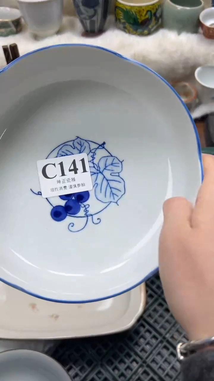【闪购商品】瓷片          C141