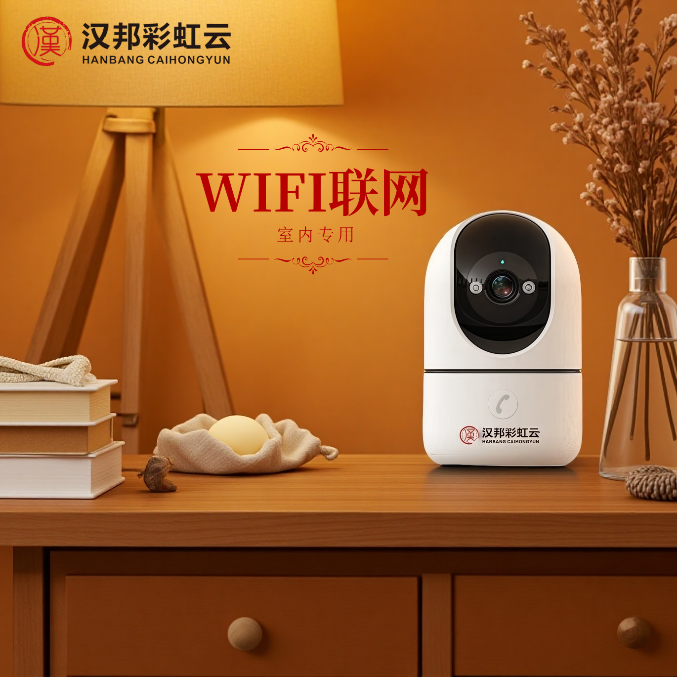 【有电有网】室内专用 通话版 一键呼叫可吊装旋转360度视野监控