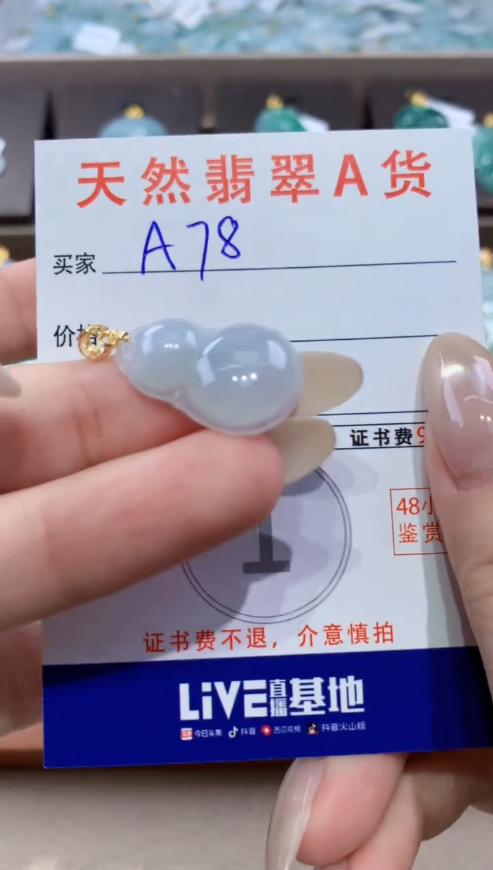 颈饰未镶嵌翡翠天然缅甸翡翠A货挂件 