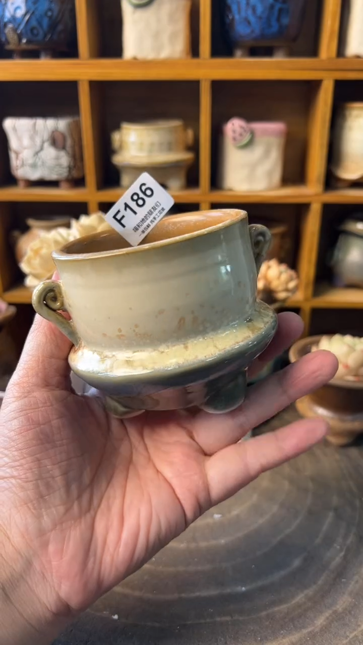 186 内口7【多肉花盆多肉盆】