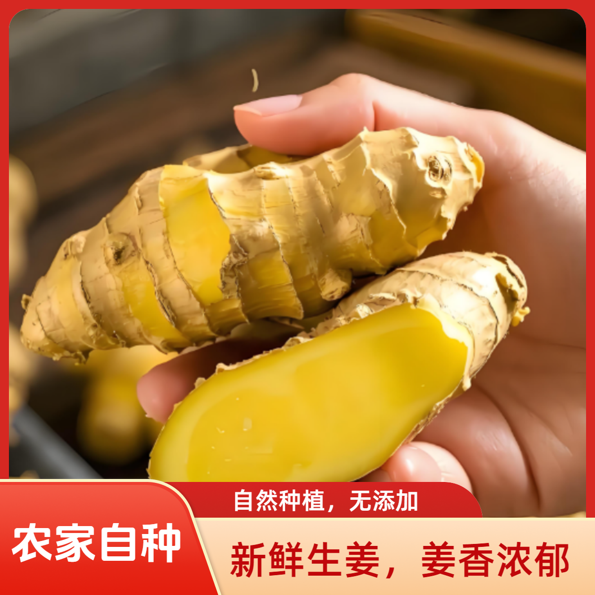 10山地新鲜现挖大黄姜清脆姜香浓郁