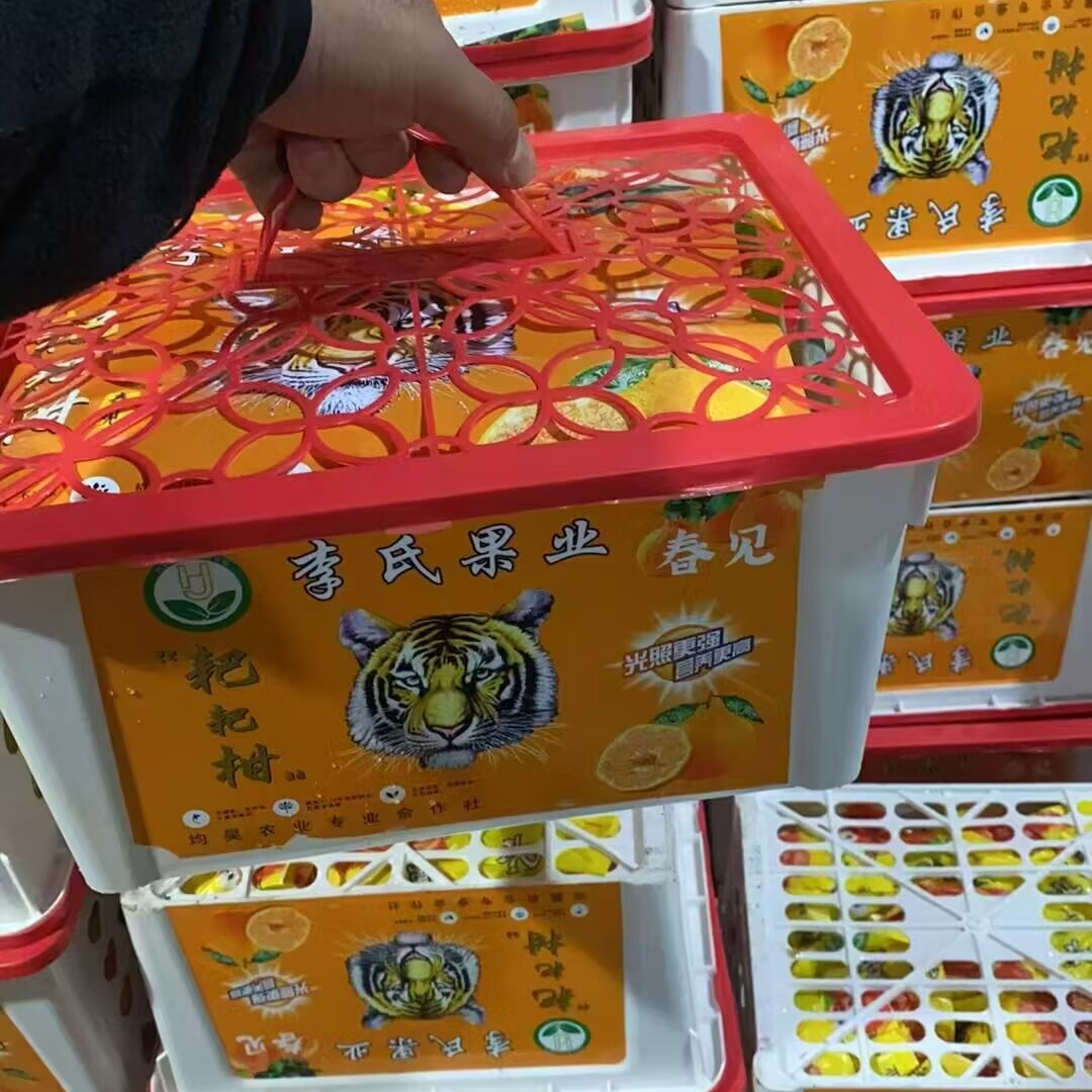 李氏虎头耙耙柑5斤装（生鲜产品不支持退换，介意慎拍）