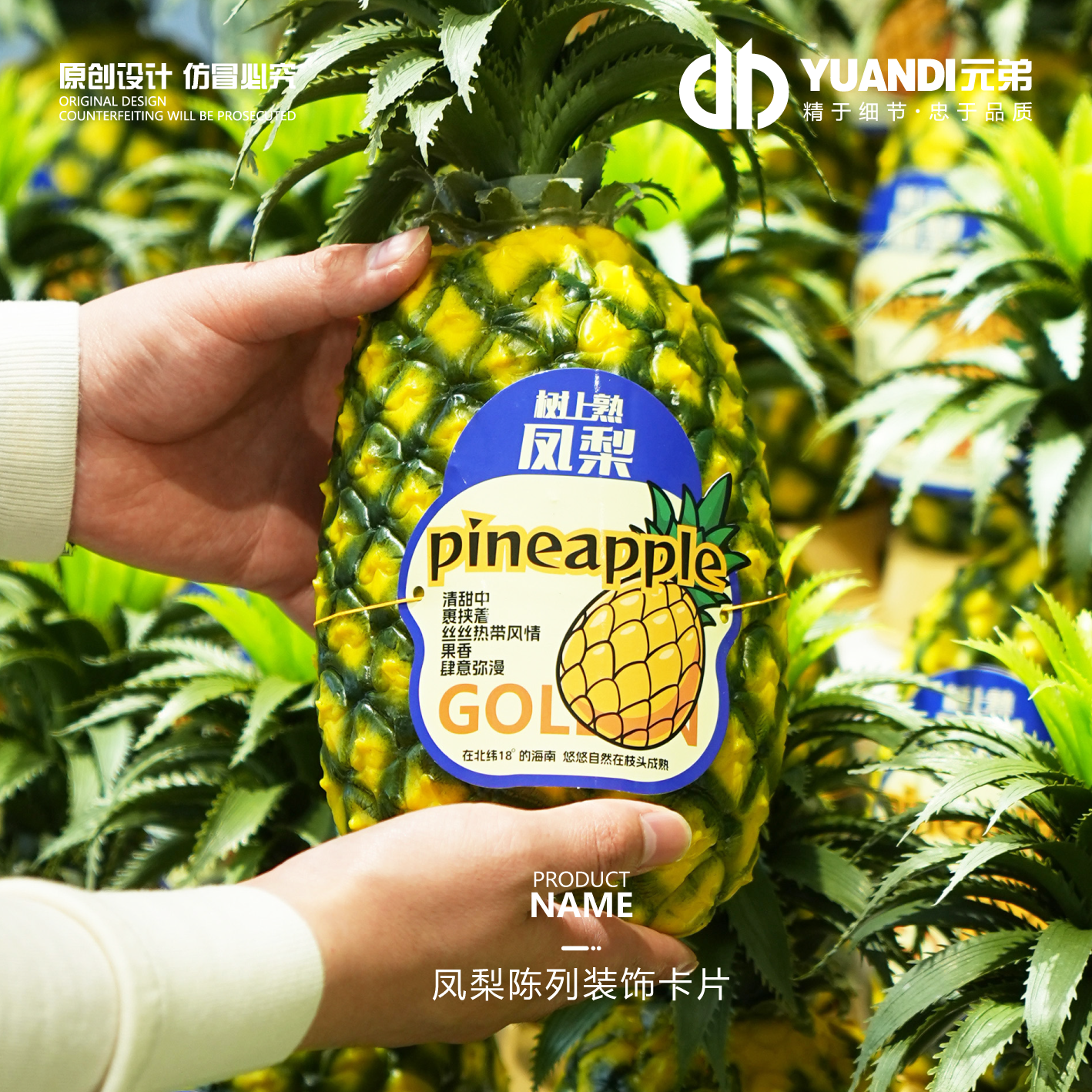 凤梨陈列装饰卡片